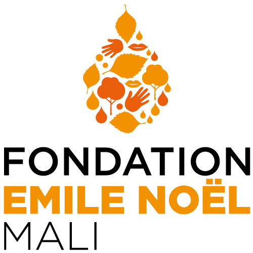 logo fondation mali emile noel