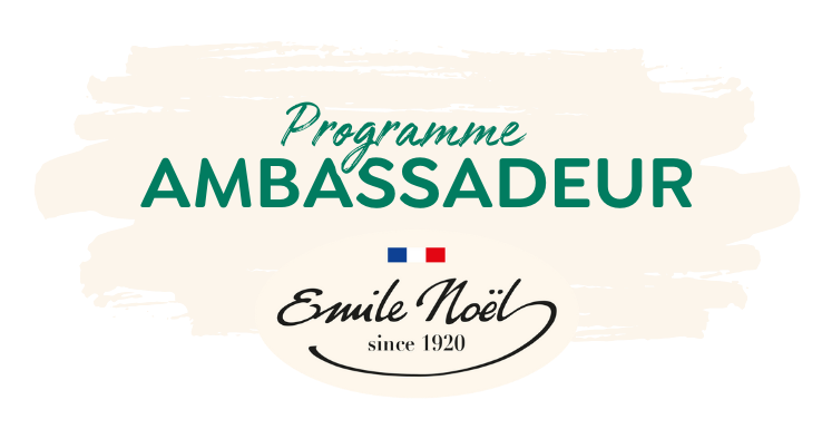 Emile Noel Bandeau Page Ambassadeur Titre e1701878182139