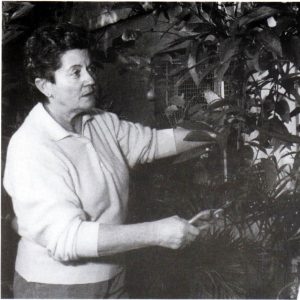 André Noël