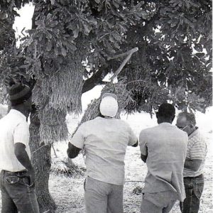 Emile Noël au Mali
