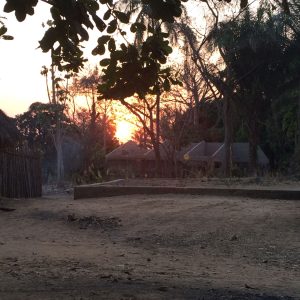 Village filière Guinée